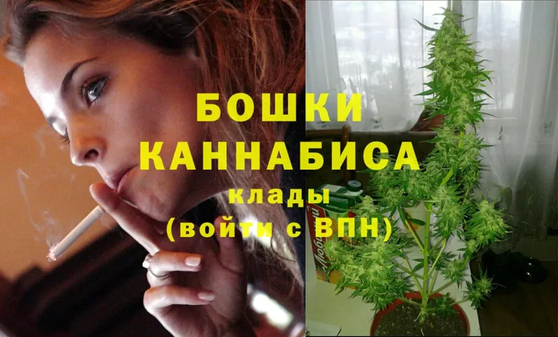 мега   Касли  Канабис THC 21% 